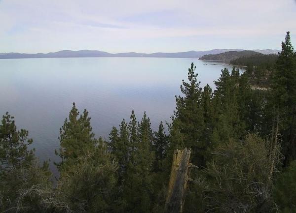 Lake Tahoe with pine trees